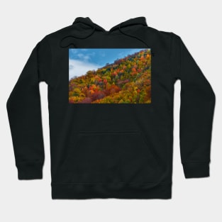 Colorful autumnal landscape Hoodie